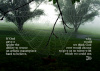 5x7 Print - Spider Web